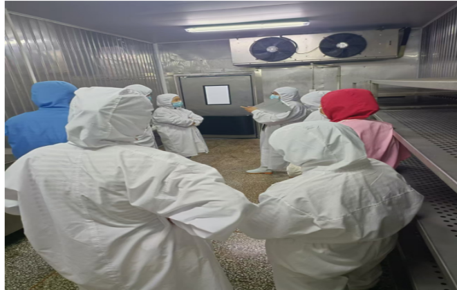客户针对审核发现的问题进行复查