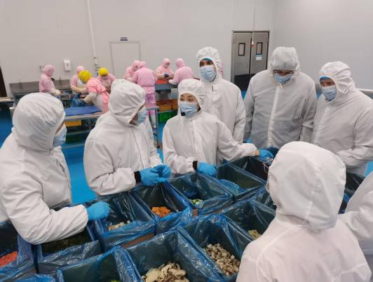 德国客户一行来我司深入考察冷冻蔬菜产品出口质量