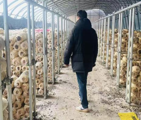 韩国重要客户到我司（健达）进行实地考察